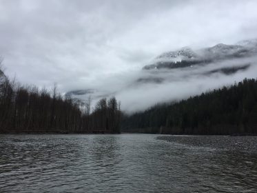fly fishing bc,fly fishing vancouver, fly fishing trips bc, guided fly fishing