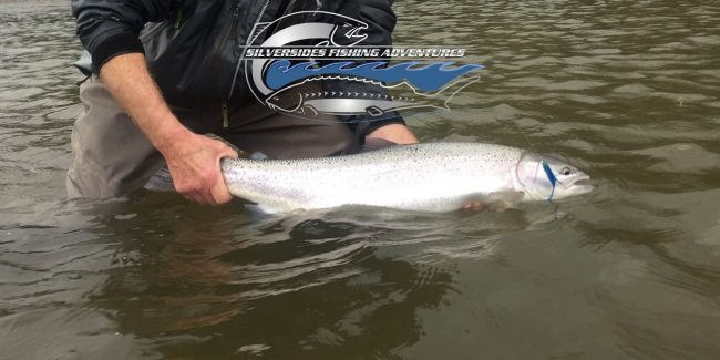 best fly fishing vancouver, top fly fishing spots vancouver, fly fishing vancouver, best fly fishing, best fly fishing spots, top fly fishing, best bc fly fishing, best fly fishing places, best trout fishing vancouver, best salmon fishing vancouver