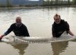 sturgeon fishing, sturgeon fishing bc, sturgeon fishing fraser river, sturgeon fishing charters, sturgeon fishing vancouver