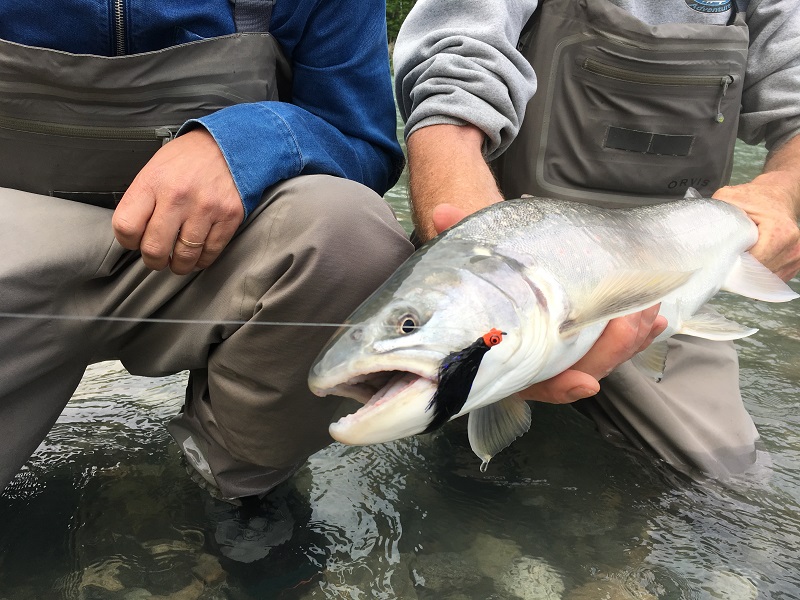 best fly fishing vancouver, trout fishing vancouver, pitt river fishing, pitt river fly fishing, upper pitt river fly fishing, upper pitt river fishing, pitt river trout fishing, fly fishing near vancouver bc