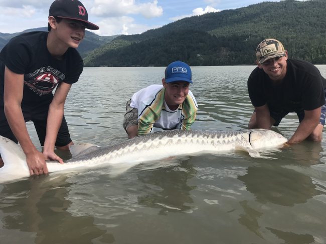 sturgeon, sturgeon fishing, sturgeon fishing bc, sturgeon fishing fraser river, sturgeon fishing charters, sturgeon fishing vancouver, sturgeon fishing mission