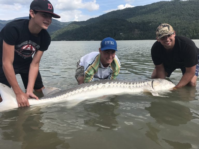 sturgeon, sturgeon fishing, sturgeon fishing bc, sturgeon fishing fraser river, sturgeon fishing charters, sturgeon fishing vancouver, sturgeon fishing mission