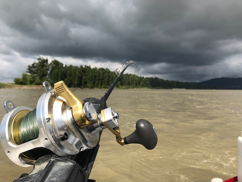 2020 best fishing, best fishing in bc, fishing season bc 2020, sturgeon fishing bc 2020, 2020 fraser river fishing forecast, 2020 fraser river fishing season, shimano talica 20