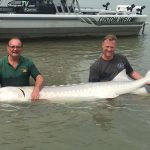 sturgeon fishing bc, sturgeon fishing fraser river, silversides reviews