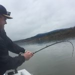 silversides fishing review, white sturgeon
