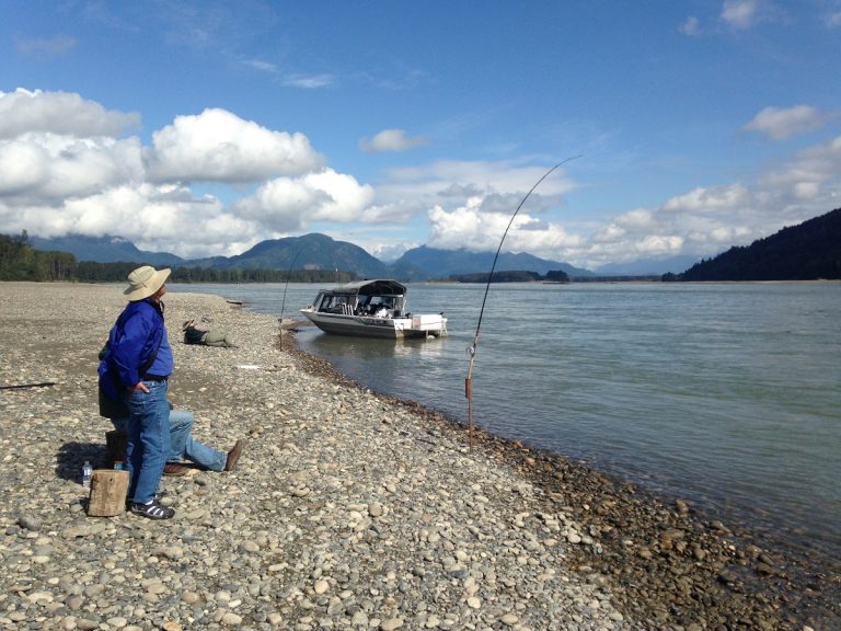 salmon fishing bc, salmon fishing fraser river, bar fishing, bar fishing fraser river