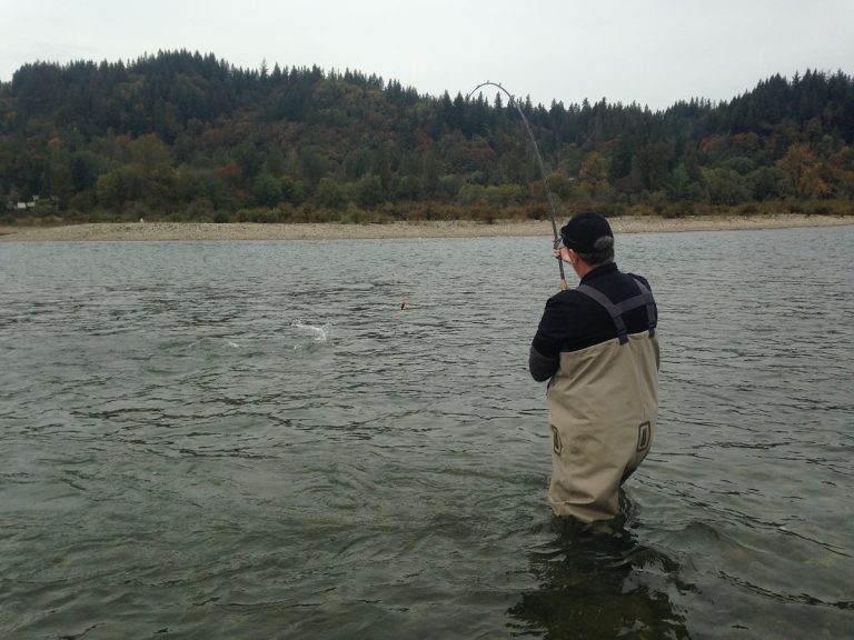 salmon fishing, fraser valley salmon fishing, stave river salmon fishing, chum salmon fishing, chum salmon fishing bc
