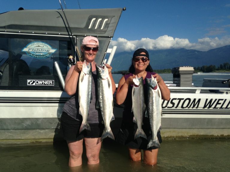 sockeye salmon, fraser river sockeye salmon, fraser river sockeye, sockeye salmon fishing, fraser river salmon runs