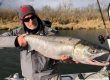 salmon fishing bc, salmon fishing harrison river, salmon fishing vancouver, chum salmon fishing