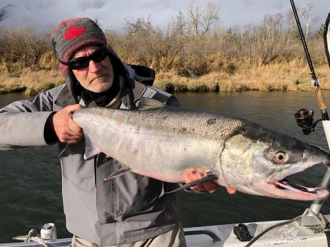 salmon fishing bc, salmon fishing harrison river, salmon fishing vancouver, chum salmon fishing