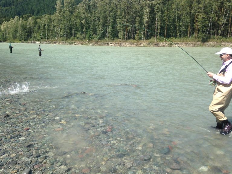 salmon fishing, salmon fishing squamish river, salmon fishing vancouver, pink salmon fishing, squamish river fishing