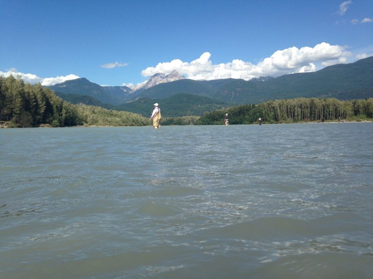 salmon fishing, salmon fishing squamish river, salmon fishing vancouver, pink salmon fishing, squamish river fishing