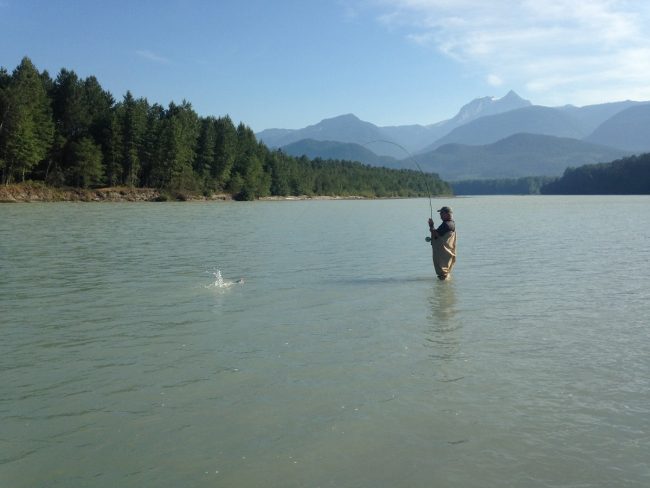 pink salmon fishing, salmon fishing squamish river, salmon fishing vancouver, fly fishing bc, fly fishing vancouver
