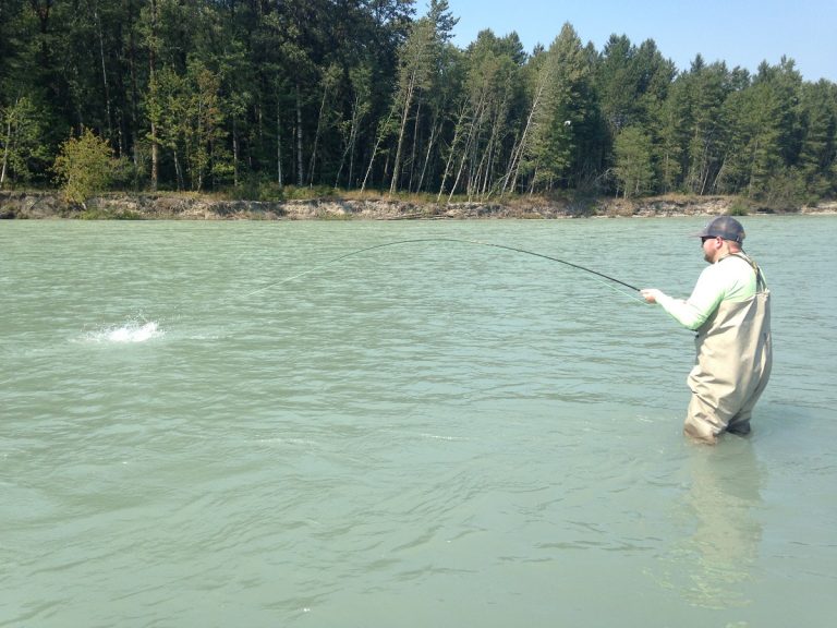 salmon fishing, salmon fishing squamish river, salmon fishing vancouver, pink salmon fishing, squamish river fishing