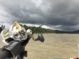 sturgeon fishing, bc sturgeon fishing, fraser river fishing, shimano talica 20