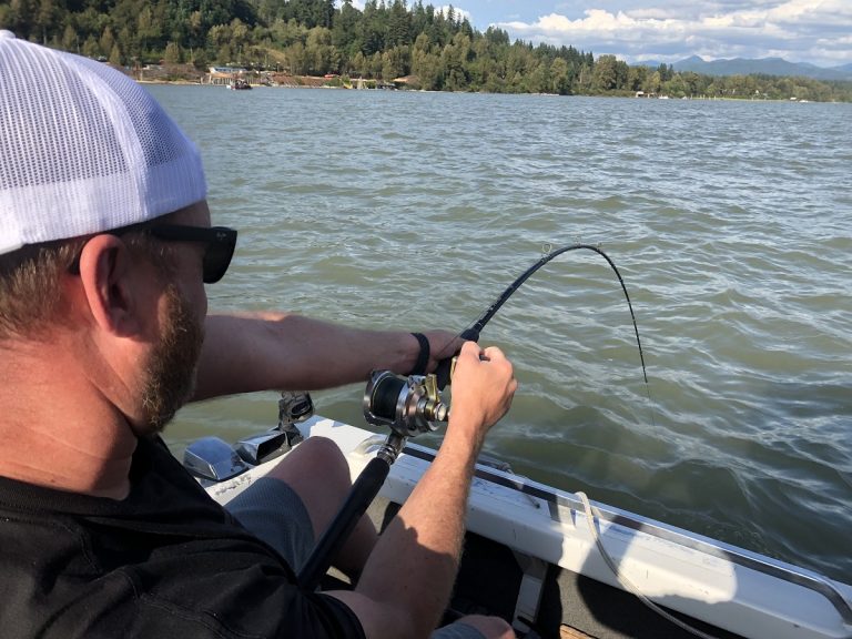 sturgeon, white sturgeon, sturgeon fishing, fraser river sturgeon, bc sturgeon, bc sturgeon fishing, big sturgeon