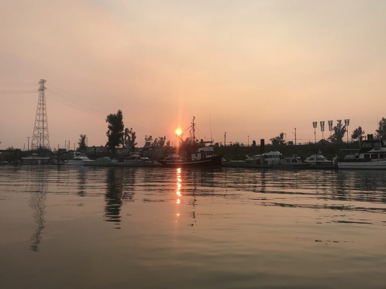 sturgeon, white sturgeon, sturgeon fishing, fraser river sturgeon, bc sturgeon, bc sturgeon fishing, big sturgeon, mission bc