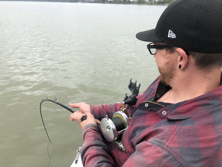 sturgeon, white sturgeon, sturgeon fishing, fraser river sturgeon, bc sturgeon, bc sturgeon fishing, big sturgeon