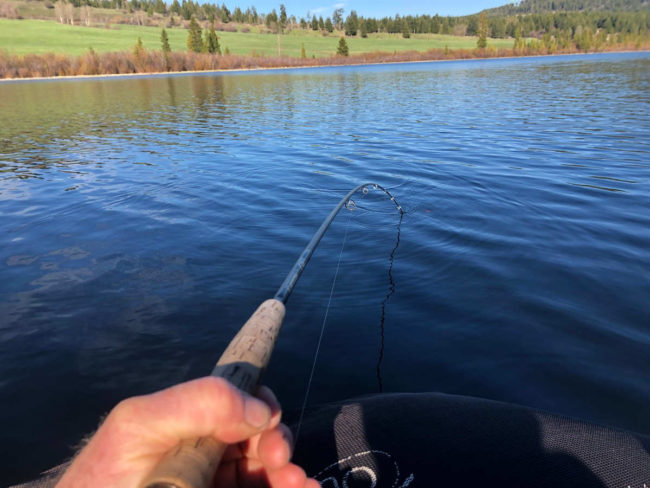 stillwater fly fishing, lake fly fishing, rainbow trout fly fishing, bc fly fishing, trout fly fishing