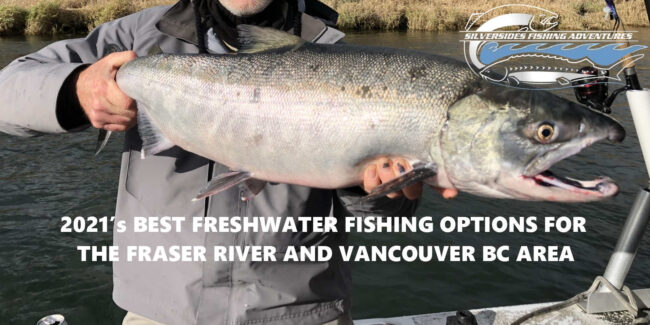 best fishing bc 2021, best fishing vancouver 2021, best fishing fraser river 2021, best fishing bc, fishing forecast bc