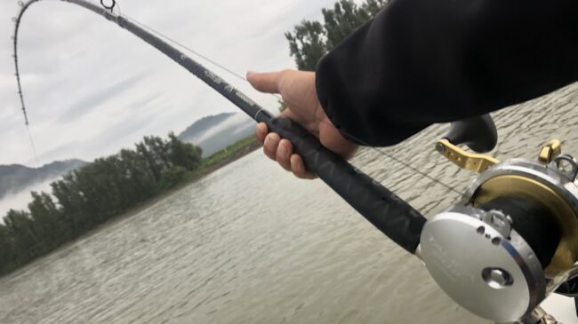 sturgeon fishing, fraser river fishing, vancouver fishing, fishing tours vancouver