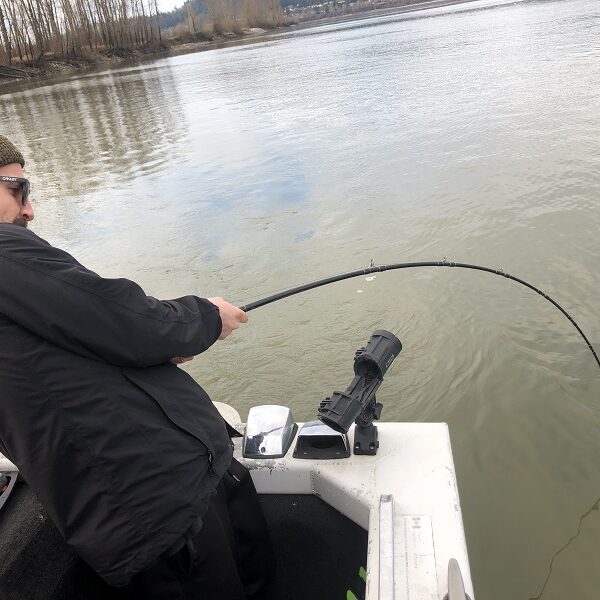 sturgeon fishing, bc sturgeon fishing, fraser river fishing, fraser river sturgeon, fishing guides bc