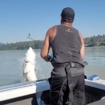 sturgeon fishing, sturgeon fishing report