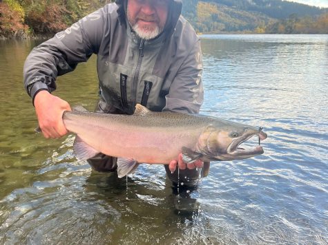 coho salmon, salmon flyfishing, salmon fishing bc